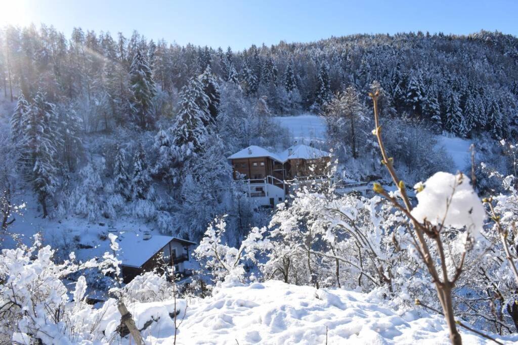 App Schlossblick - Wohnung Hammerwand 2 Umes Buitenkant foto