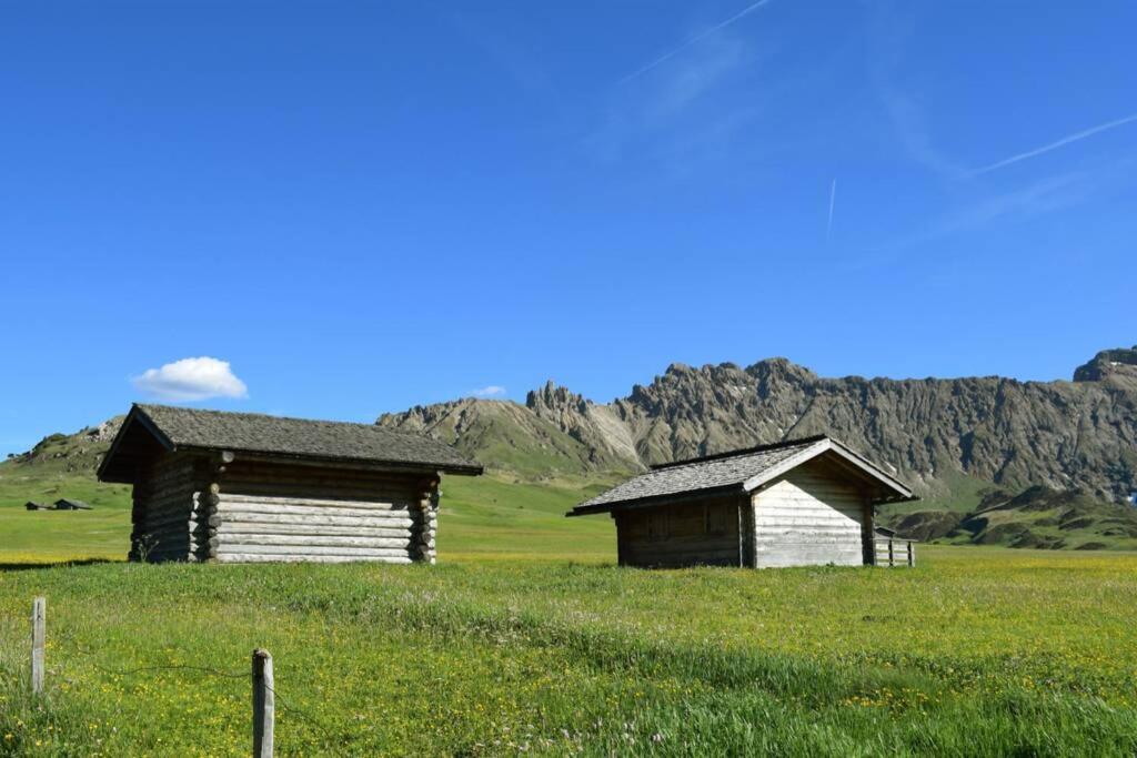 App Schlossblick - Wohnung Hammerwand 2 Umes Buitenkant foto