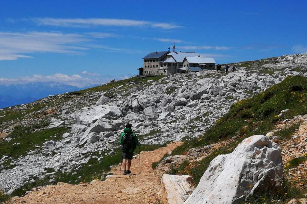 App Schlossblick - Wohnung Hammerwand 2 Umes Buitenkant foto